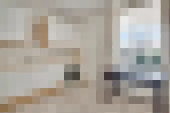 Bogenstraat 42 Thorn thumbnail 10