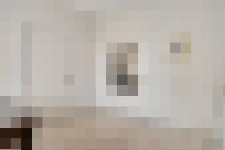 Bogenstraat 42 Thorn thumbnail 11