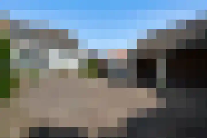 Bogenstraat 42 Thorn thumbnail 26
