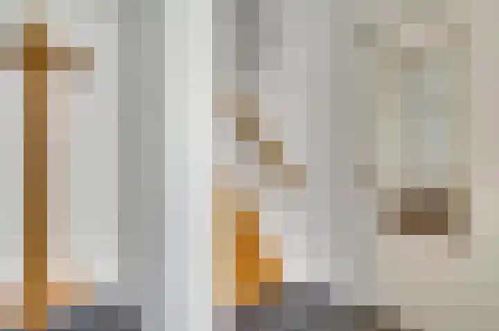 Bogenstraat 42 Thorn thumbnail 6