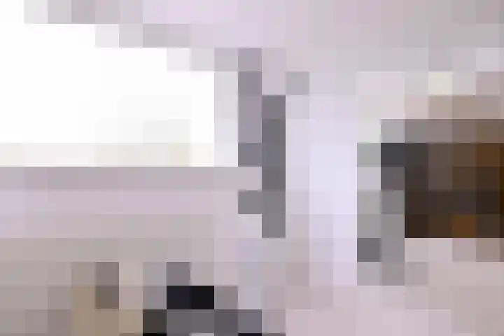 Bogenstraat 44 Thorn