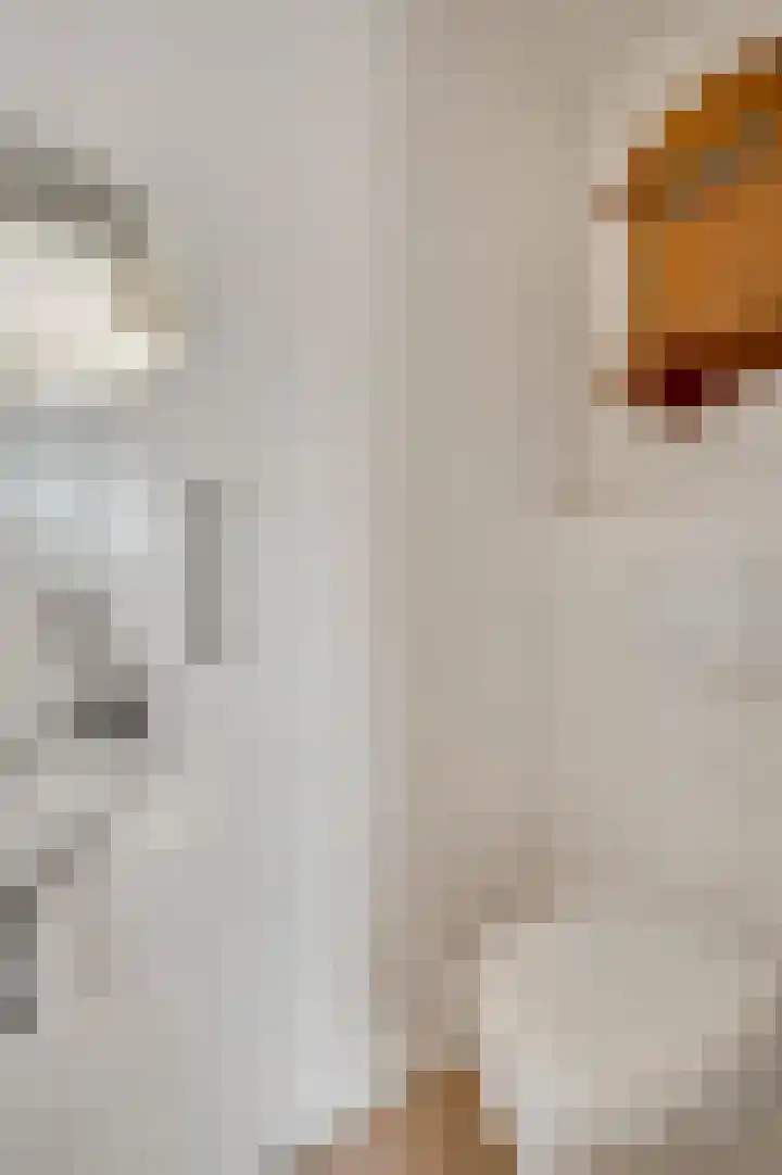 Bogenstraat 44 Thorn thumbnail 15