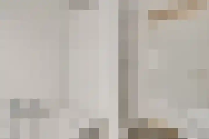 Bogenstraat 44 Thorn thumbnail 24