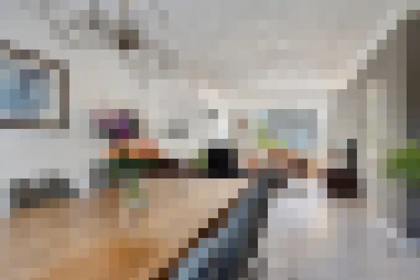 Bogerd 1 Den Dungen thumbnail 10