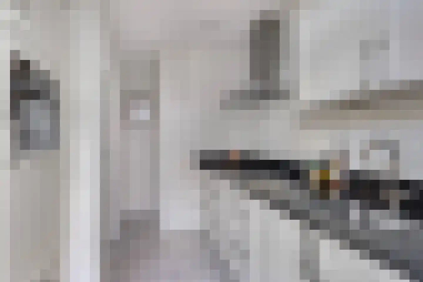 Bogerd 1 Den Dungen thumbnail 13
