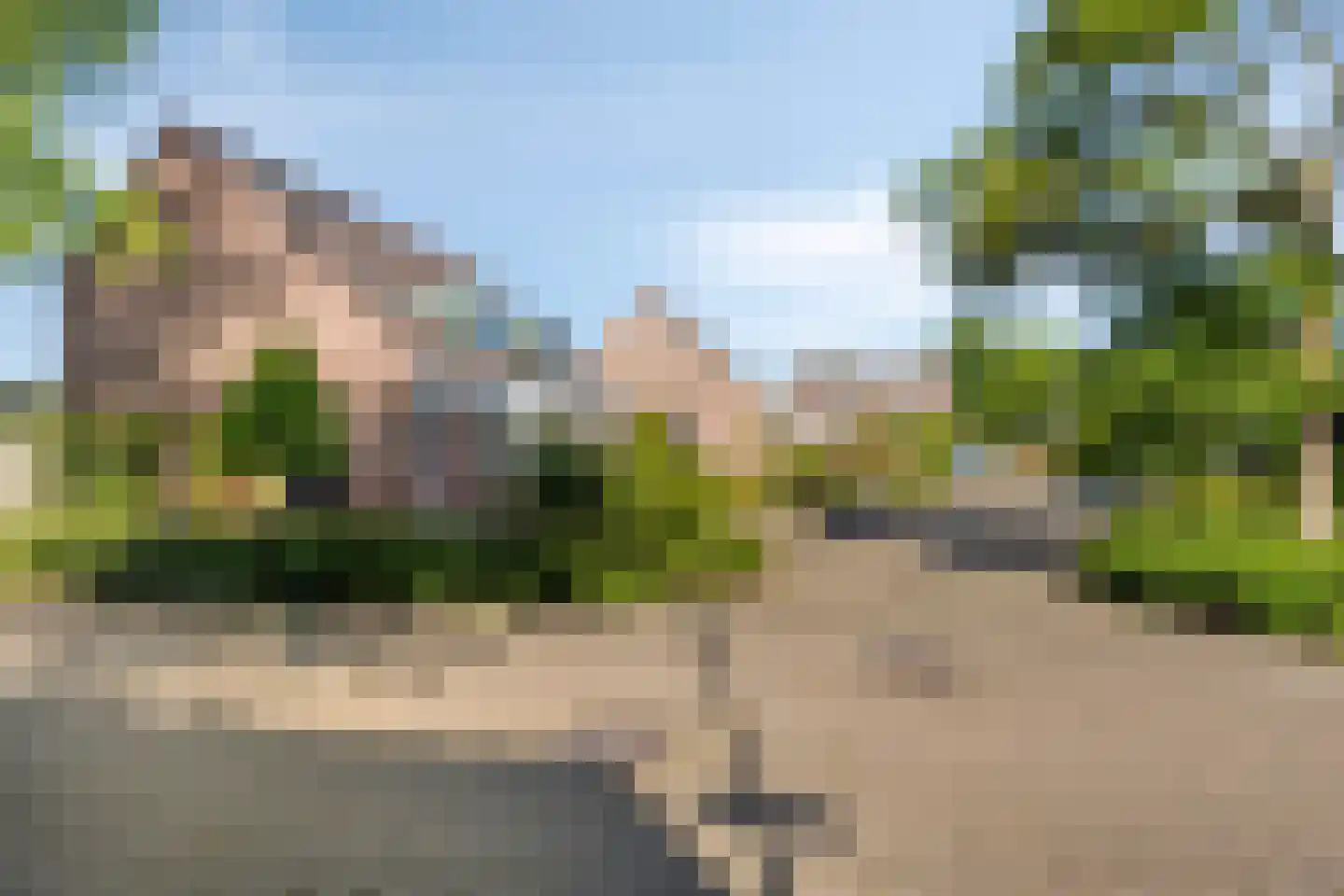 Bogerd 1 Den Dungen foto 2
