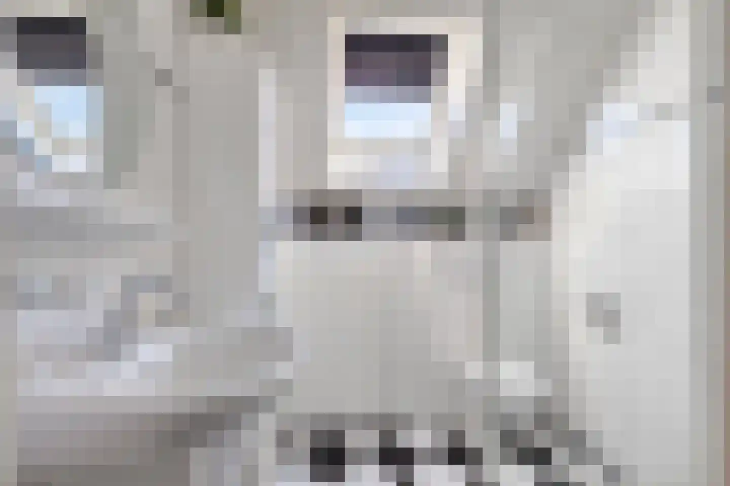 Bogerd 1 Den Dungen thumbnail 20