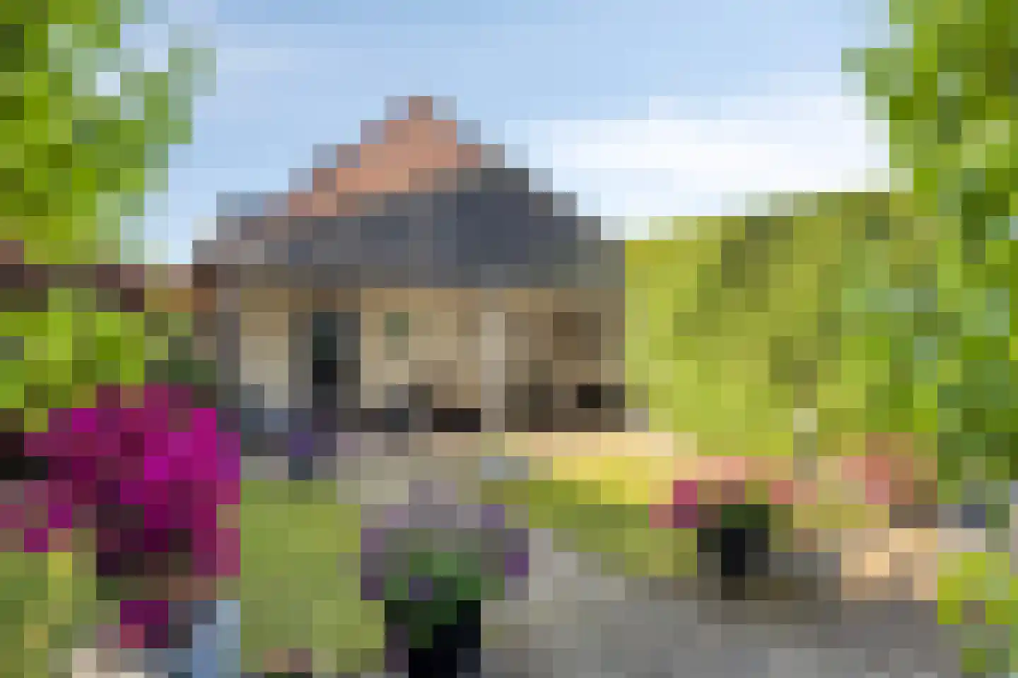 Bogerd 1 Den Dungen thumbnail 26