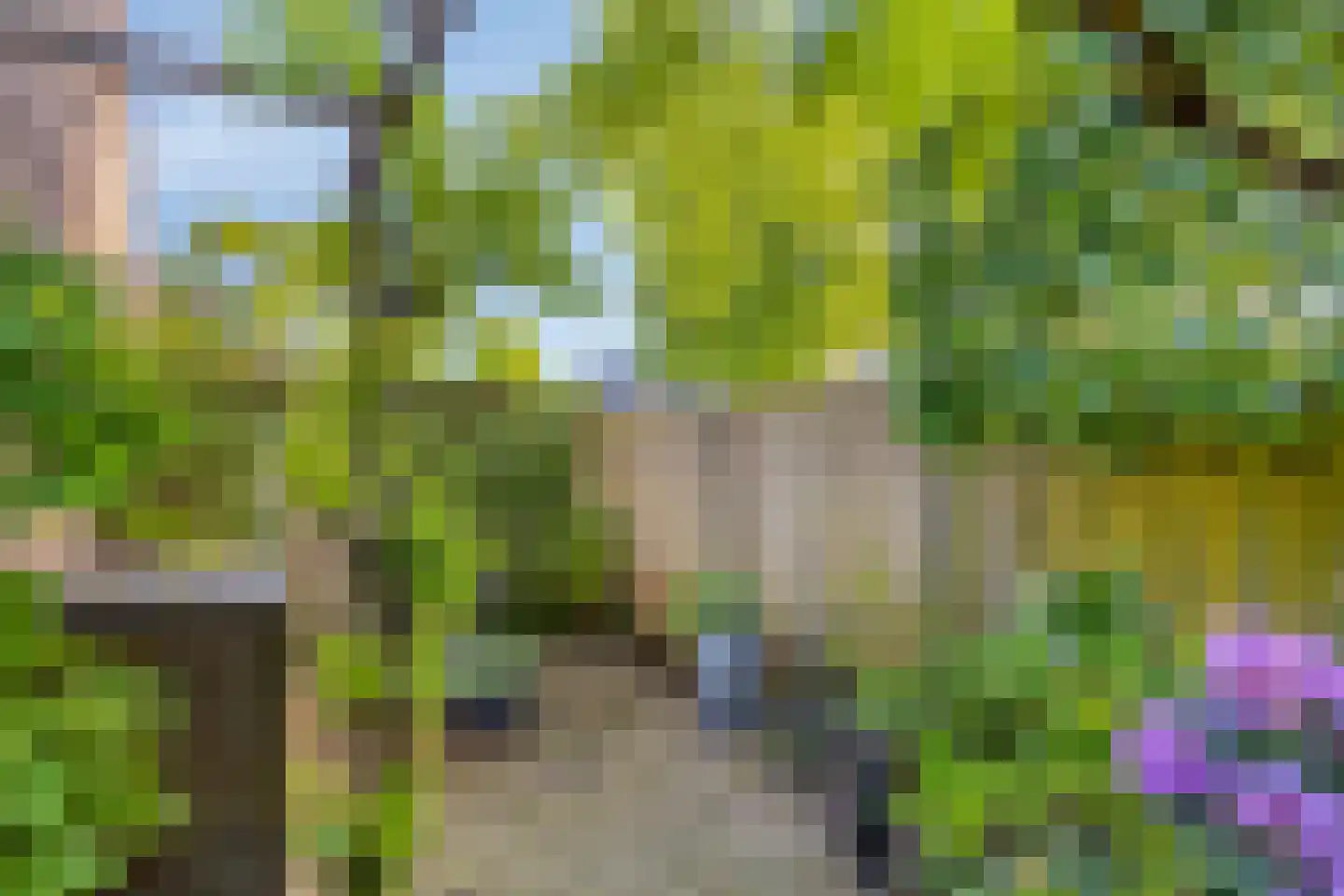 Bogerd 1 Den Dungen thumbnail 29