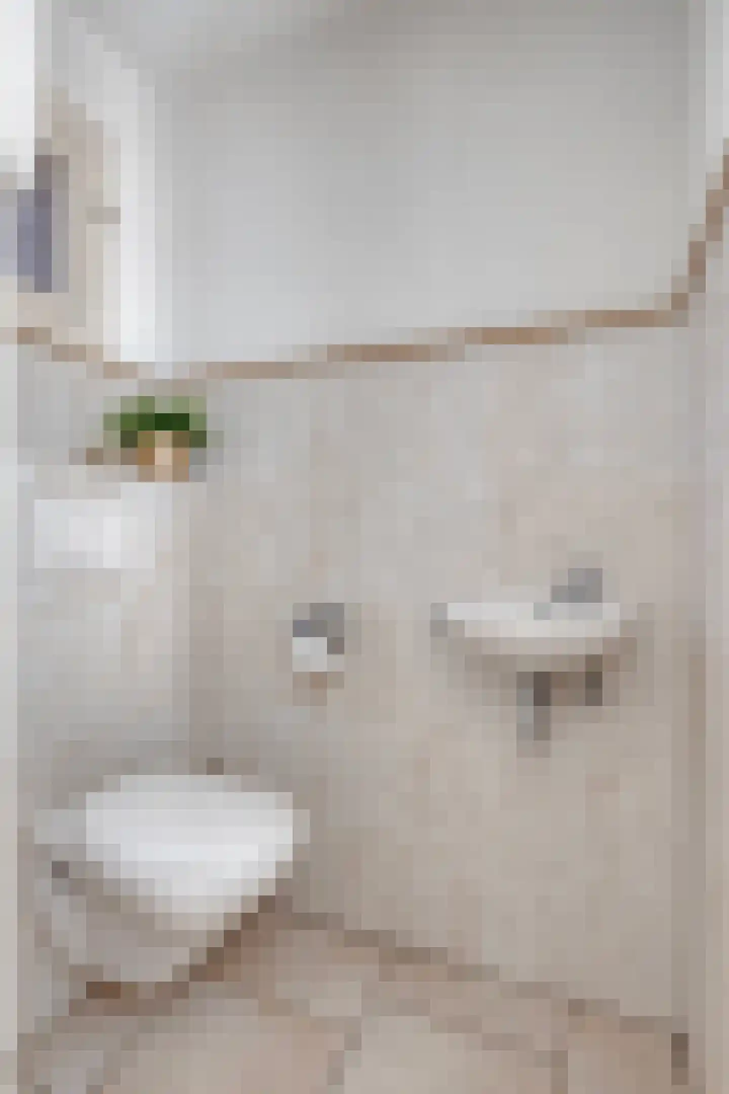 Bogerd 1 Den Dungen thumbnail 6