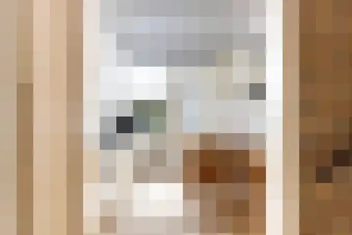 Bogerd 1 Krimpen aan den IJssel thumbnail 10