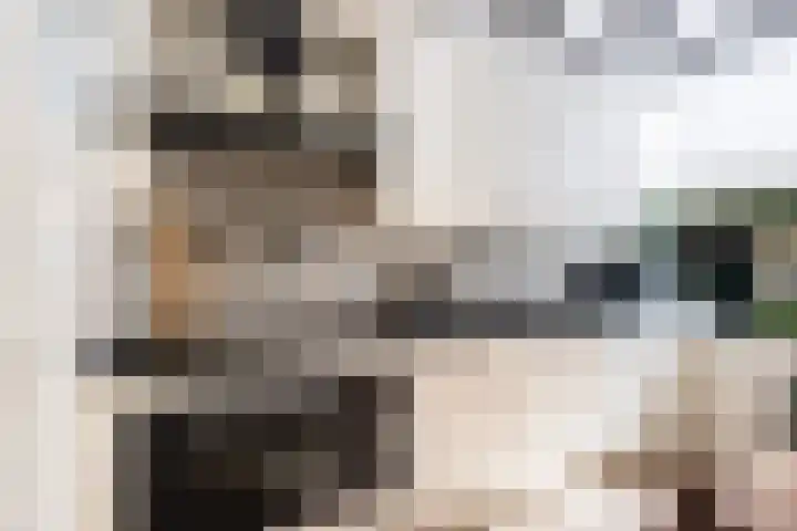 Bogerd 1 Krimpen aan den IJssel thumbnail 12
