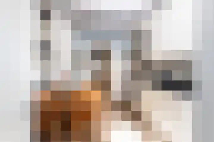 Bogerd 1 Krimpen aan den IJssel thumbnail 14