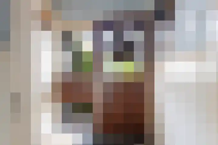 Bogerd 1 Krimpen aan den IJssel thumbnail 15