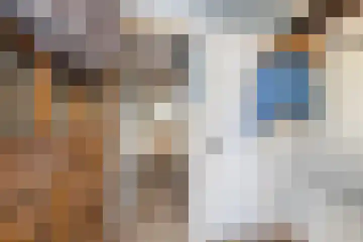 Bogerd 1 Krimpen aan den IJssel thumbnail 16