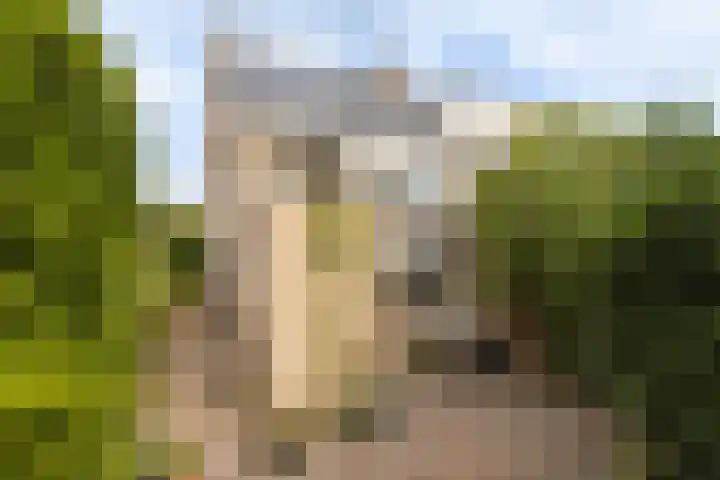 Bogerd 1 Krimpen aan den IJssel foto 2
