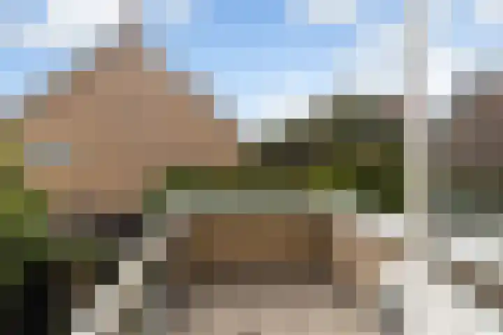 Bogerd 1 Krimpen aan den IJssel thumbnail 25