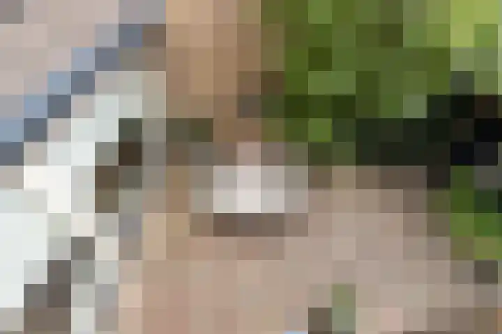 Bogerd 1 Krimpen aan den IJssel thumbnail 26