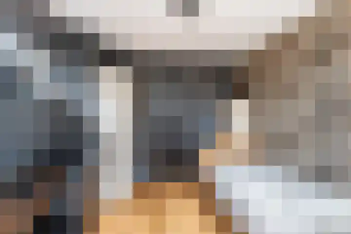 Bogerd 1 Krimpen aan den IJssel thumbnail 27