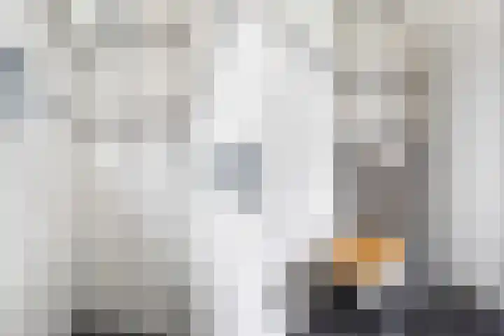 Bogerd 1 Krimpen aan den IJssel thumbnail 32