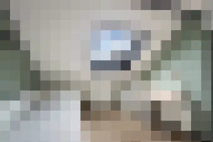 Bogerd 1 Krimpen aan den IJssel thumbnail 35