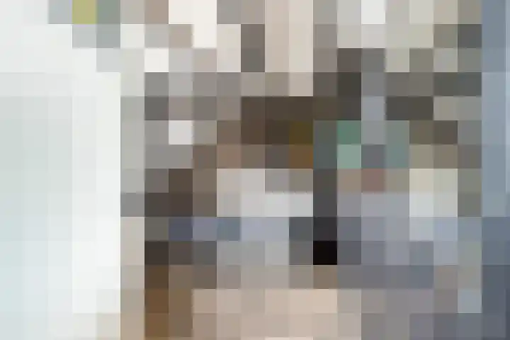 Bogerd 1 Krimpen aan den IJssel thumbnail 36