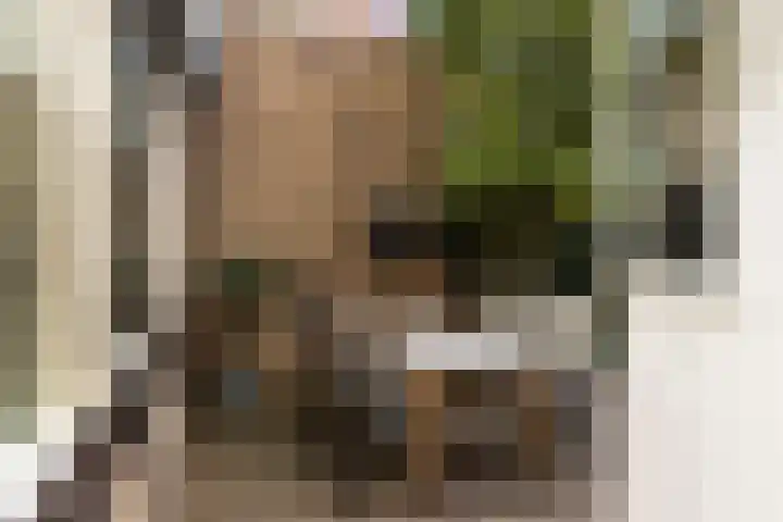 Bogerd 1 Krimpen aan den IJssel thumbnail 38