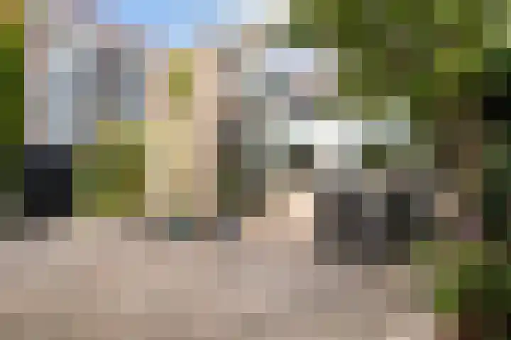 Bogerd 1 Krimpen aan den IJssel thumbnail 40