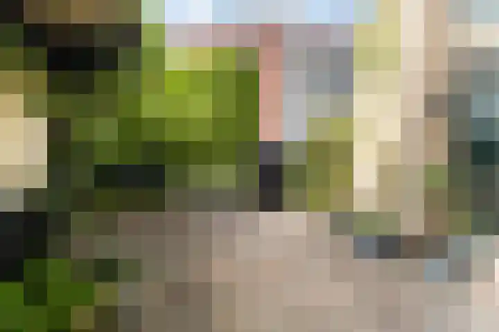 Bogerd 1 Krimpen aan den IJssel thumbnail 41