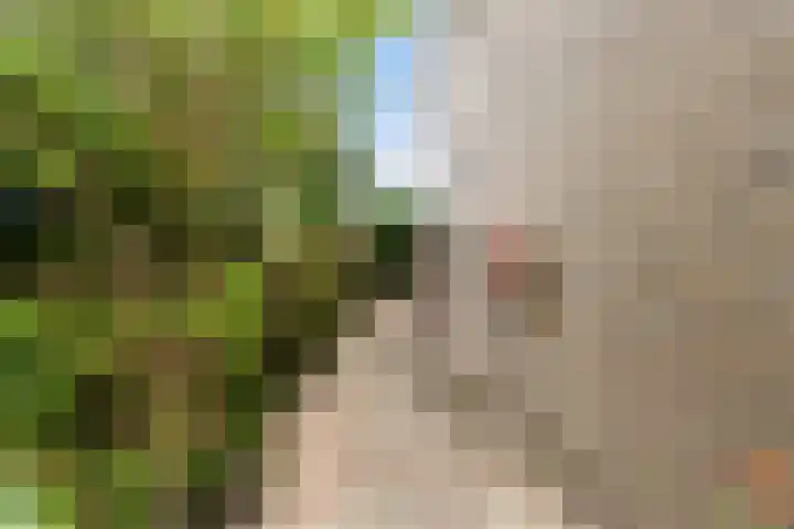 Bogerd 1 Krimpen aan den IJssel thumbnail 42