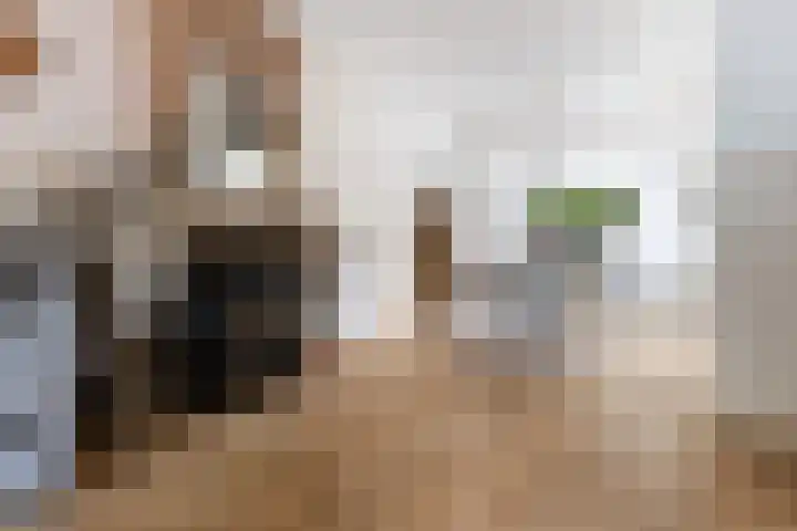 Bogerd 1 Krimpen aan den IJssel thumbnail 7