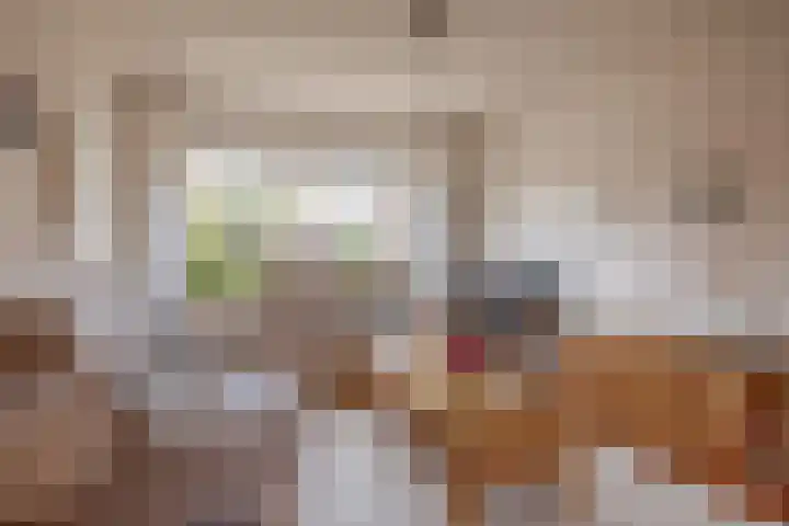 Bogerd 13 Krimpen aan den IJssel thumbnail 14