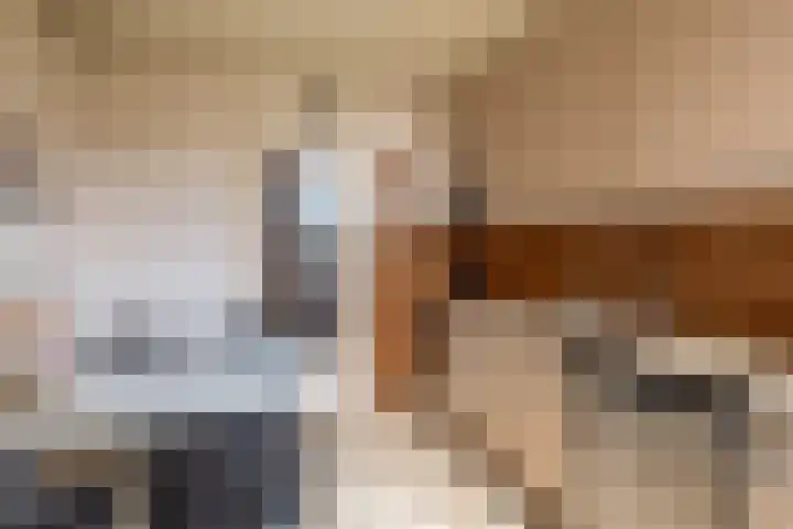 Bogerd 13 Krimpen aan den IJssel thumbnail 22