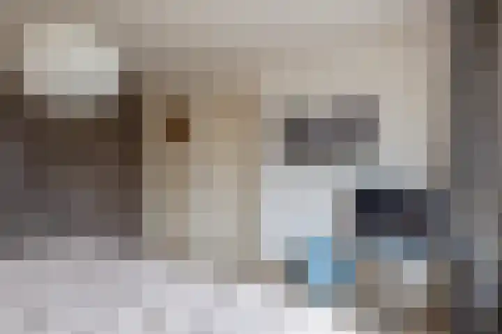 Bogerd 13 Krimpen aan den IJssel thumbnail 27