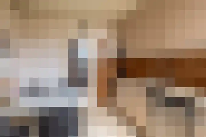 Bogerd 13 Krimpen aan den IJssel thumbnail 4