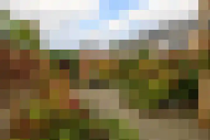 Bogerd 13 Krimpen aan den IJssel thumbnail 41