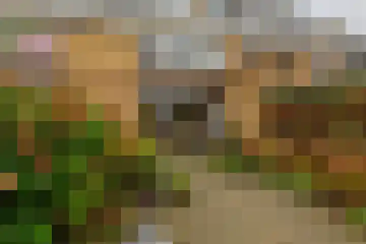 Bogerd 13 Krimpen aan den IJssel thumbnail 43