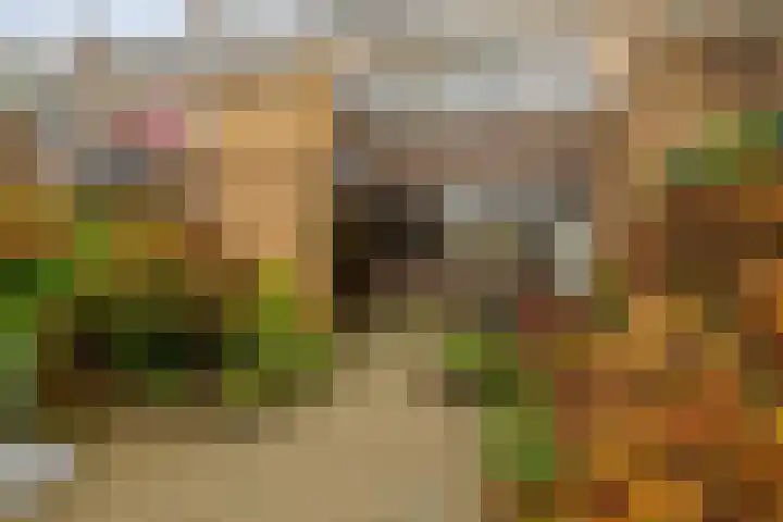 Bogerd 13 Krimpen aan den IJssel thumbnail 44