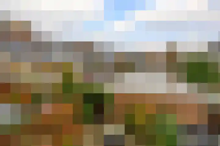 Bogerd 13 Krimpen aan den IJssel thumbnail 46
