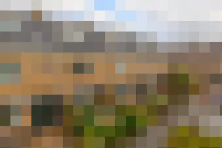Bogerd 13 Krimpen aan den IJssel thumbnail 6