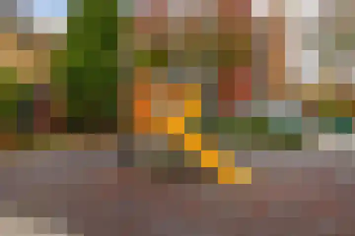 Bogerd 13 Krimpen aan den IJssel thumbnail 9