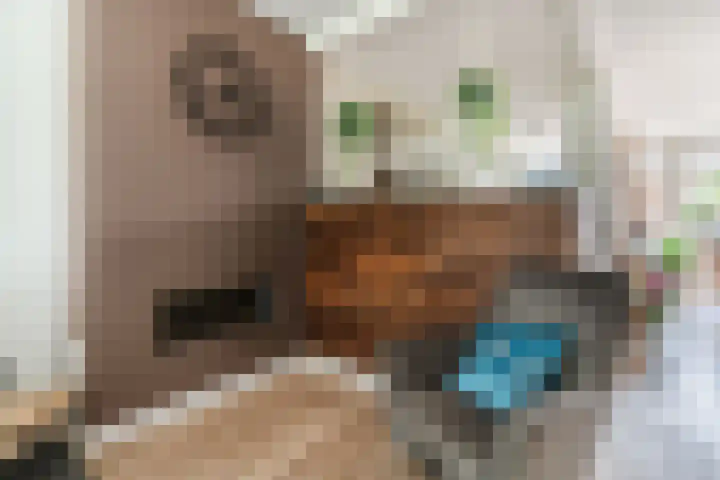 Bogerd 14 Eersel thumbnail 10