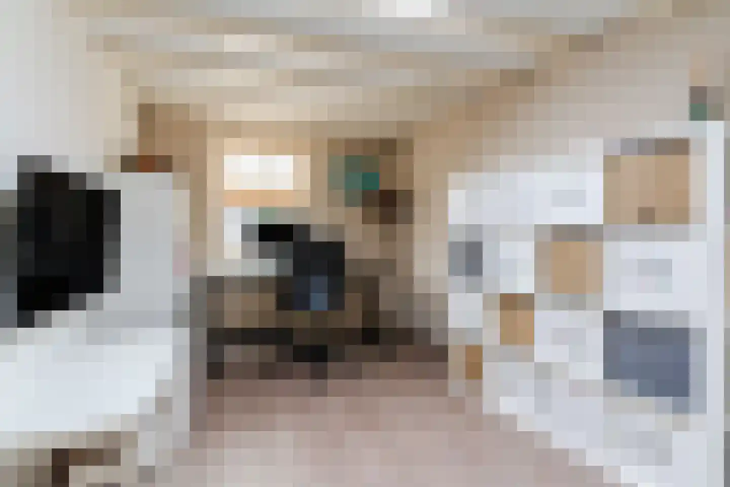Bogerd 14 Eersel thumbnail 21