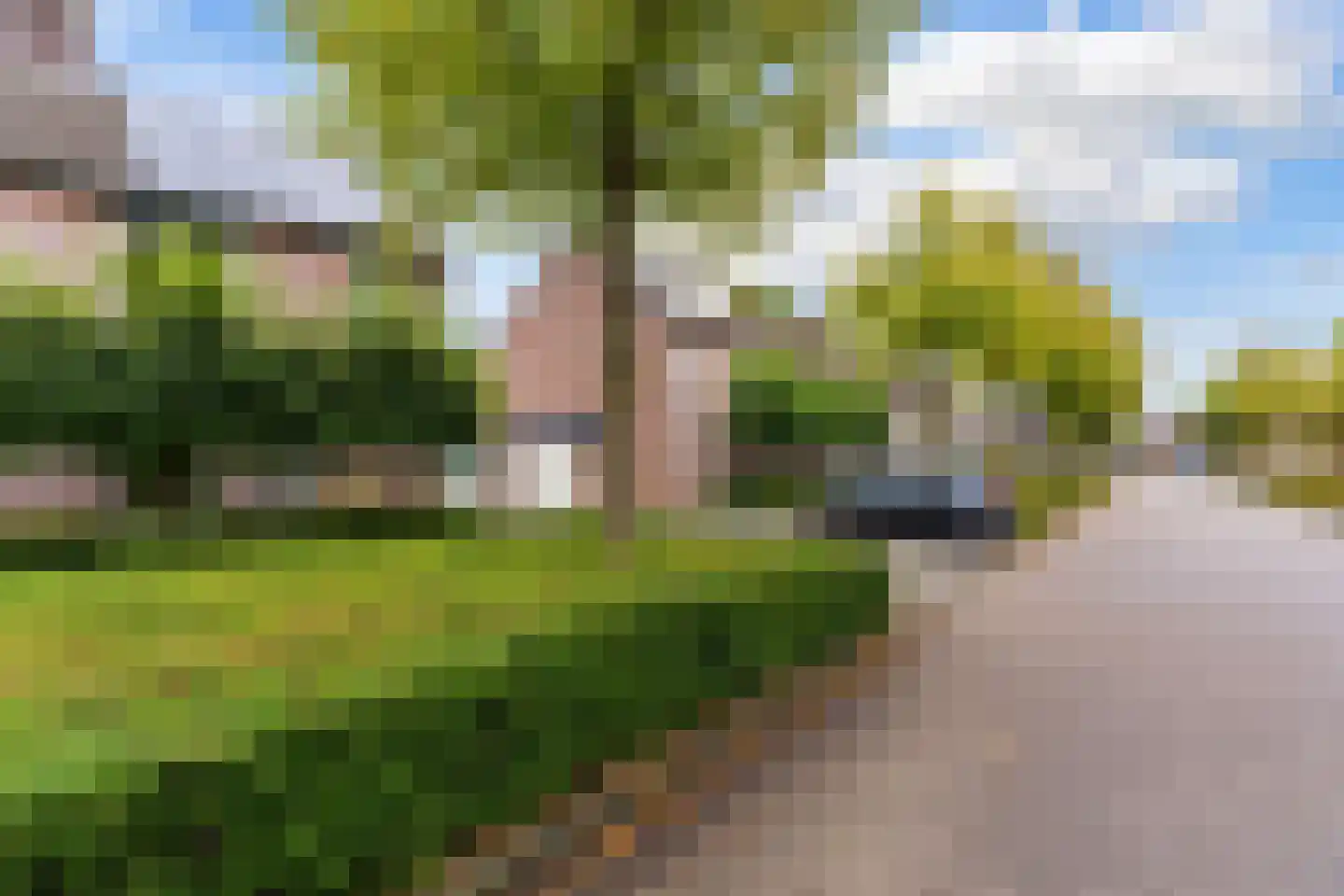 Bogerd 14 Eersel thumbnail 52