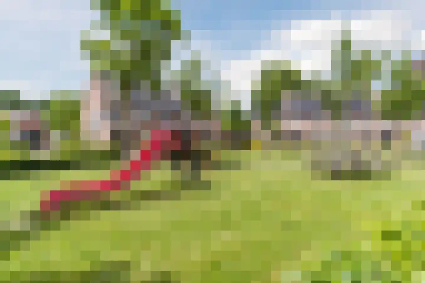 Bogerd 14 Eersel thumbnail 53