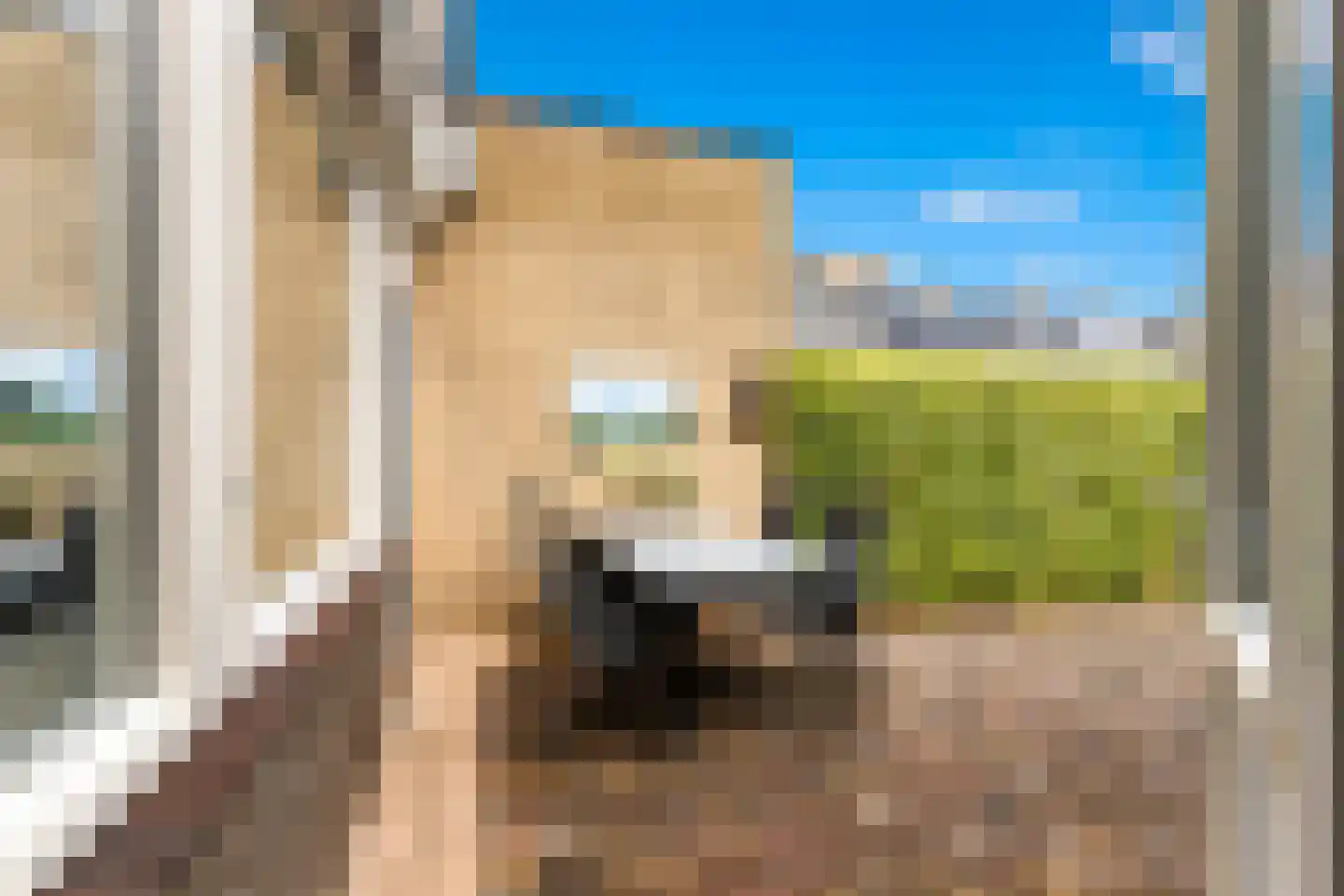 Bogerd 14 Krimpen aan den IJssel thumbnail 12