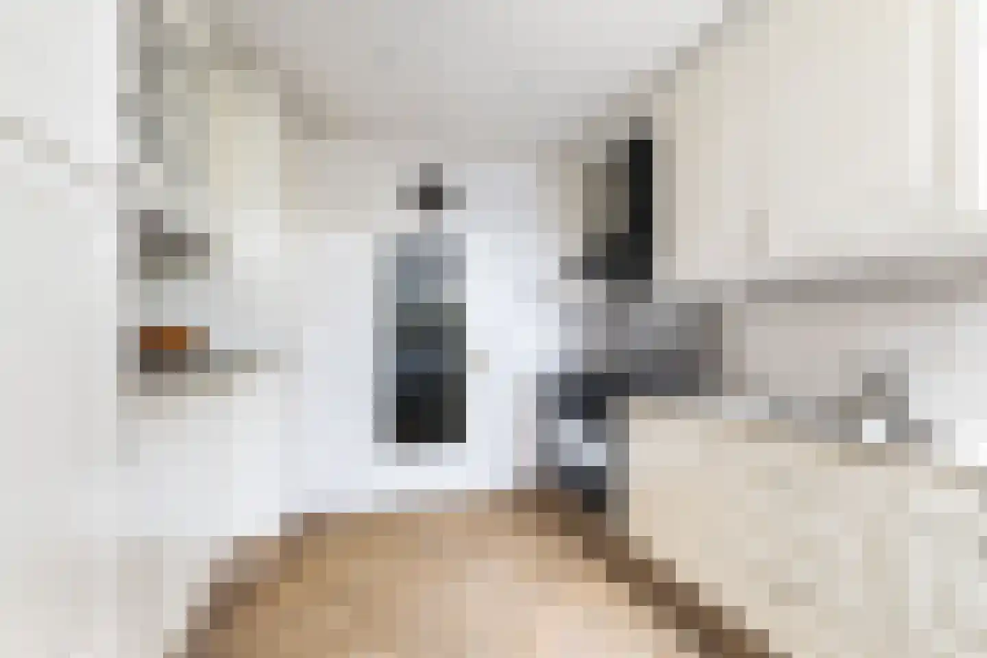 Bogerd 14 Krimpen aan den IJssel thumbnail 8
