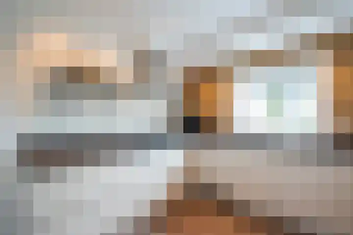 Bogerd 18 Leerdam thumbnail 11