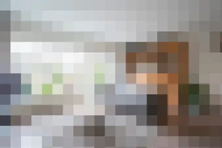 Bogerd 18 Leerdam thumbnail 8