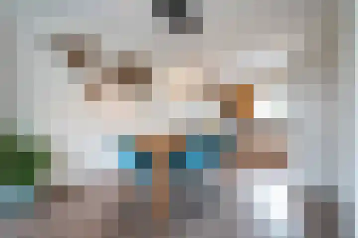 Bogerd 18 Leerdam thumbnail 9